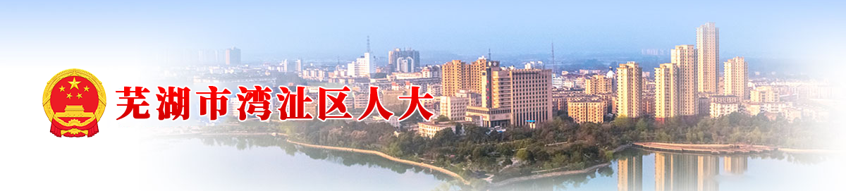 湾沚区人大
